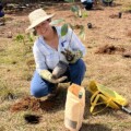 Segunda jornada de restauración de suelos avanza en el proyecto Puerto Barú